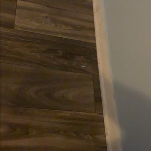 Meet your Posher, Damaso